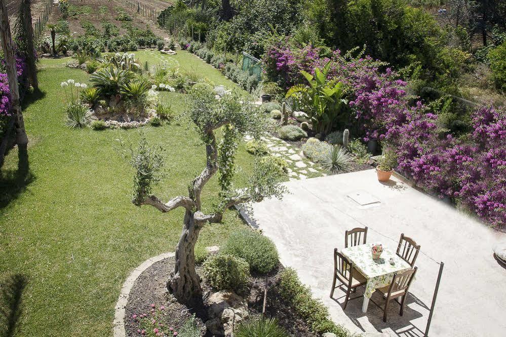 - Vista Egadi - Bed and Breakfast Torre Nubia Eksteriør billede